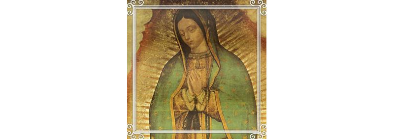 12 de dezembro Festa de Nossa Senhora de Guadalupe, padroeira principal da América Latina