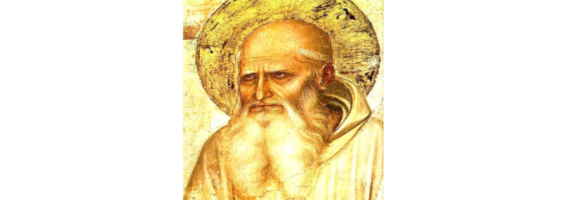7 de fevereiro - São Romualdo, abade e fundador